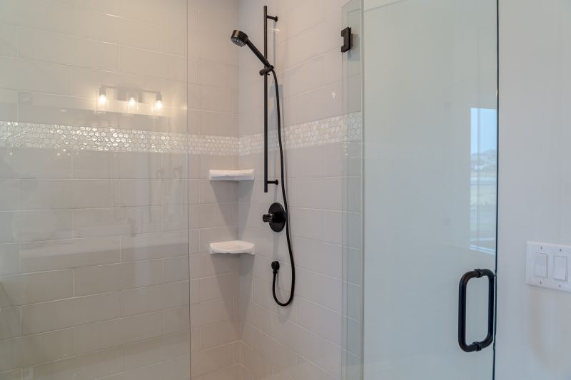 Sleek Shower Renovation